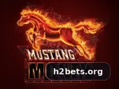 h2 bet — tela de confirmação de transferência PIX de entrada